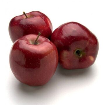 Fruits Apple Washington