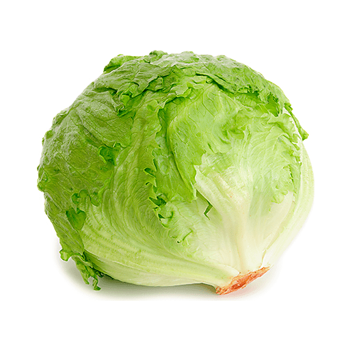 Fresh Vegetables Lettuce – Iceberg