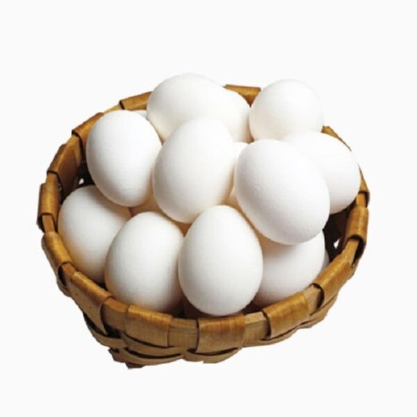 Daily Needs Premium White Eggs