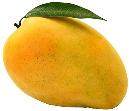 Fruits Mango- Safeda