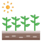 grow-plant__1_-removebg-preview grow-plant__1_-removebg-preview